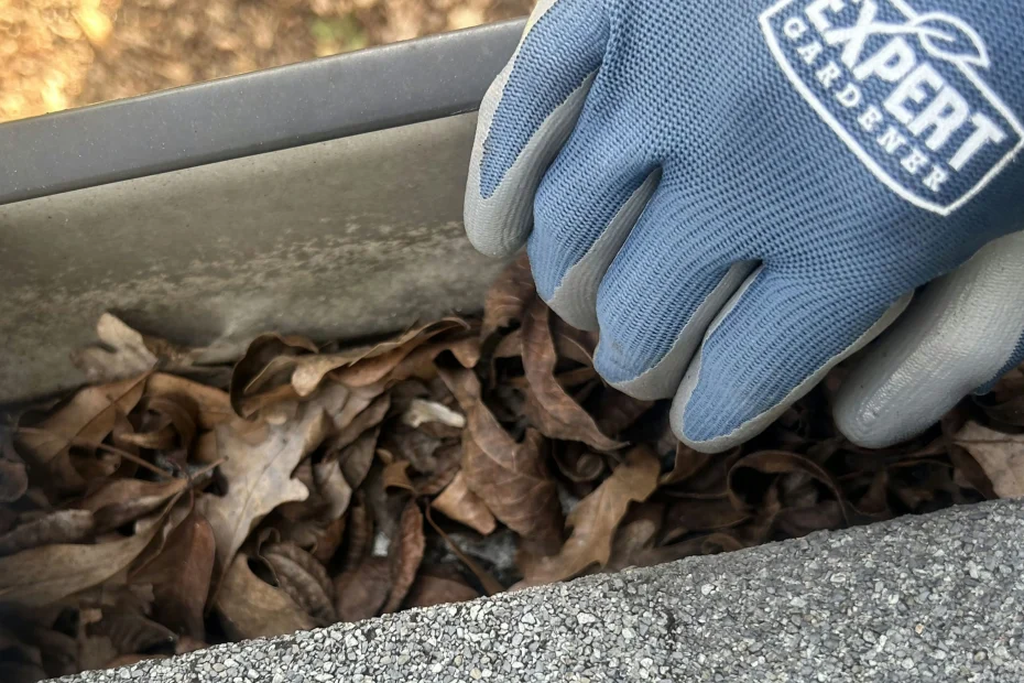 Gutter Cleaning King