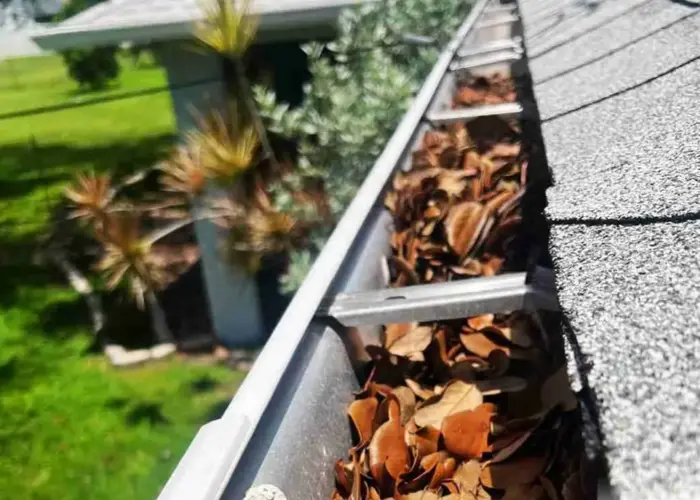 Gutter Cleaning King home page